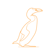 Animals Seabirds Great Auk Sketch Svg Vector, Free Vectors File